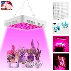 5000Watt LED Grow Light Full Spectrum For Indoor Medical Veg Plants Flower Bloom