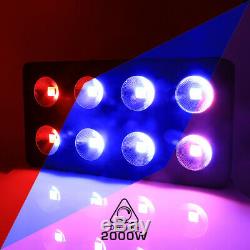 500W-2000W Full Spectrum COB LED Grow Light Lamp Reflector For Plant Veg Flower