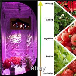 500W LED Grow Light COB Full Spectrum Veg Flower Hydroponic Indoor Plant Medical