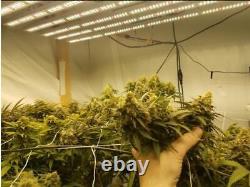 640W Full Spectrum LED Grow Light 8 Bars Veg Bloom Plant Detachable Indoor Grow