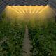 6x6ft Full Spectrum Grow Lamp For Indoor Plant Veg Led Bars Hanging Plant Light