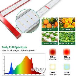 700W Led Grow Light Full Spectrum for Indoor Commercial Greenhouse Veg Flower