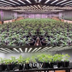 720W LED Grow Light Full Spectrum WaterProof Indoor Plants Veg Flower VS Fluence