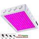8000w Led Grow Light With Timer Full Spectrum Indoor Hydroponic Veg Bloom Hot