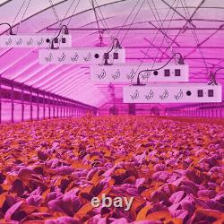 8000W LED Grow Light with Timer Full Spectrum Indoor Hydroponic Veg Bloom US