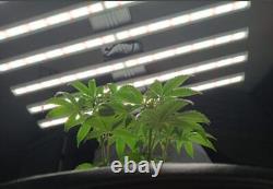 800W Full Spectrum Samsung LED Grow Light Bar Veg Bloom Indoor Plant Hydroponics