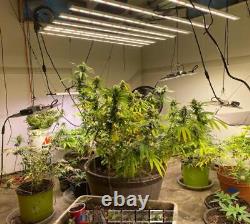 800W Full Spectrum Samsung LED Grow Light Bar Veg Bloom Indoor Plant Hydroponics