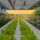 800w Indoor Led Grow Light 23.62inch Hydroponic Plants Veg Flower Growing Panel