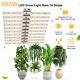 800w Quantum Grow Light Withsamsungled301b 10 Strips For Indoor Plants Veg Ir