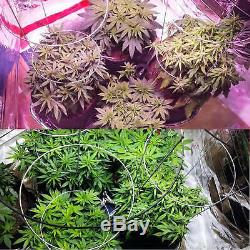AGLEX 2000 Watt COB LED Grow Light Full Spectrum for Hydroponic Plant Veg Flower