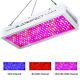 Bloomspect 2000w Led Grow Light Full Spectrum With Reflector Veg&bloom Switches