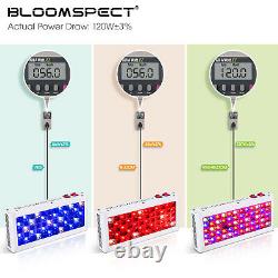 BLOOMSPECT 600W LED Grow Light Full Spectrum with Reflector VEG&BLOOM Switches