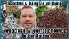 Benefits And Dangers Of Coffee Grounds And Wood Ash In The Garden Beginning Gardening