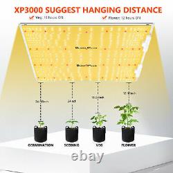 Bloom Plus XP3000 LED Grow Light Full Spectrum Samsung LM301H Indoor Veg Flower
