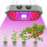 Cob Led Grow Light Full Spectrum Hydroponic Veg Plant Growth Lamp Garden Indoor