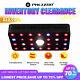 Cree Cob 500w Led Grow Light Full Spectrum For Indoor Plant Lamp Seeds To Flower