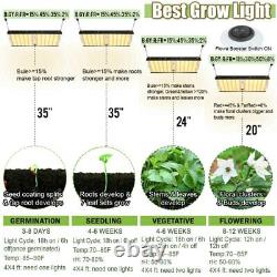 Carambola 1000W 2000W 4000W LED Grow Light Full Spectrum for Indoor Plants Veg