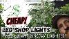 Cheap Grow Lights Led Shop Light Results