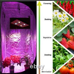 Cree COB Series-High PAR 2000W 12Band Full Spectrum LED Grow Light VEG Flower UL