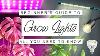 Easy Beginner S Guide To Grow Lights For Houseplants Grow Light 101 Why When How To Use Them
