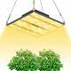 Famurs 1000w Sunlight Full Spectrum Led Grow Light Indoor Seeding Veg And Bloom