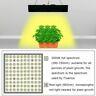 Full Spectrum 300 Led 5000w Grow Light Veg Ir Indoor Hydroponic Plant Growing Pg