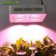 Full Spectrum 800w Cob Led Grow Light For Indoor Plant Veg Flower Growth Lamp