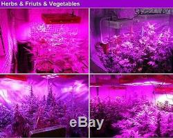 Full Spectrum Reflector 800w COB LED Grow Light Lamp Hydro Plants Veg Flower