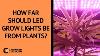 How Far Should Led Grow Lights Be From Plants Faq