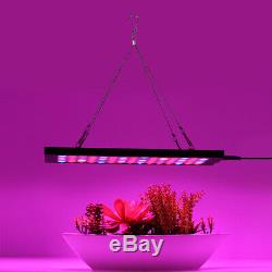 Hydroponic 600W LED Grow Light Full Spectrum For Indoor Veg Flower Plant Lamp