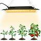 Indoor Dimmable 100w Led Grow Light Lamp Full Spectrum Light Plants Veg Flower
