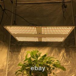 Indoor HLG-480H Full Spectrum Sunlike LED Grow Light for Plant Veg Flower Bloom