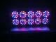 Kind Led L600-veg Grow Light 6 Month Limited Warranty Free Shipping