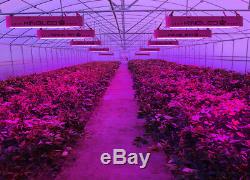 KING 1200W LED Grow Light Full Spectrum Hydroponic Veg Flower Plant Indoor Lamp
