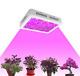 King Grow Light Full Spectrum Hydroponic 1200w Led Veg Flower Plant Indoor Lamp