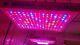 Kind Led Xl750 Grow Light 415 Watt Draw At Wall Full Spectrum Veg/flower