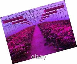 King Plus 1200w LED Grow Light Full Spectrum for Greenhouse Indoor Plant Veg