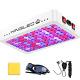 King Plus 1200w Led Grow Light Full Spectrum For Greenhouse Indoor Plant Veg And
