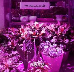 King Plus 600W LED Grow Light Full Spectrum for Indoor Plants Veg and