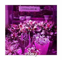 King Plus 600W LED Grow Light Full Spectrum for Indoor Plants Veg and Flower