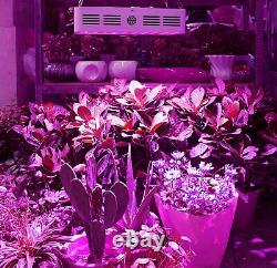 King Plus 600W LED Grow Light Full Spectrum for Indoor Plants Veg and Flower