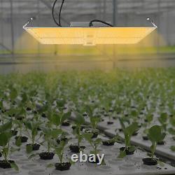 LED Grow Light 800W Full Spectrum IP65 Aluminum Plat For Indoor Flower Veg Bloom