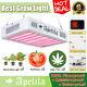 Led Grow Light Full Spectrum 8000w For Hydroponic Veg Flower Plant Lamp Panel