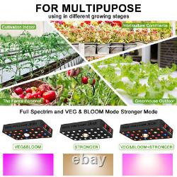 LED Grow Lights 500W Cree COB Sunlike Full Spectrum with Veg & Bloom for Medicals