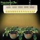 Led Grow Light 600w Full Spectrum Plant Lamp For Indoor Medical Veg Plant Flower