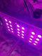 Mars Hydro Pro Ii 600w Led Grow Light Indoor Full Spectrum Plant Veg Flower