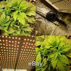 Mars Hydro TS 1000W LED Grow Light Hydroponics Veg Flower Lamp Indoor Plants