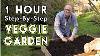 New Vegetable Garden How To Get Started