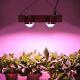Oppolite Led 800w Led Grow Light Lamp Full Spectrum Panel For Veg Indoor Grow