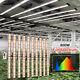 Phlizon 800w 2880 Led Plant Growing Light Full Spectrum Led Grow Light Veg Bloom
